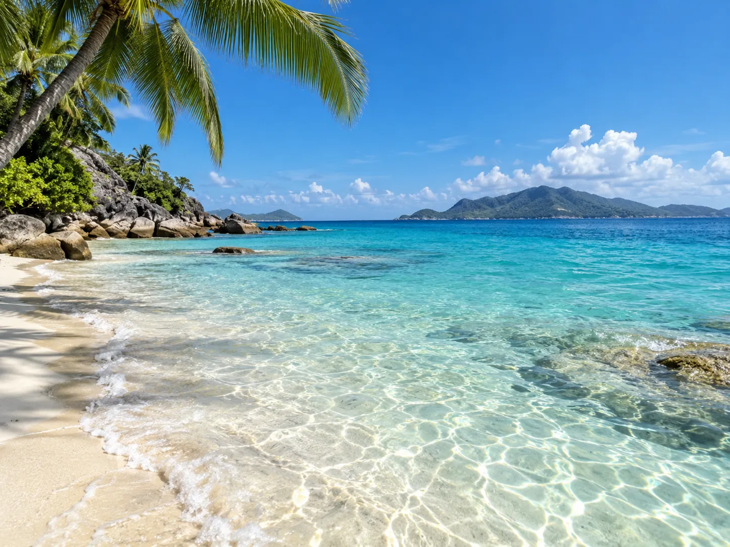 Tropical beach photo with turquoise water and palm fronds